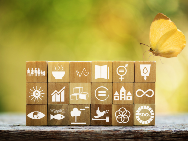 Et si vous redécouvriez les Objectifs de développement durable ?