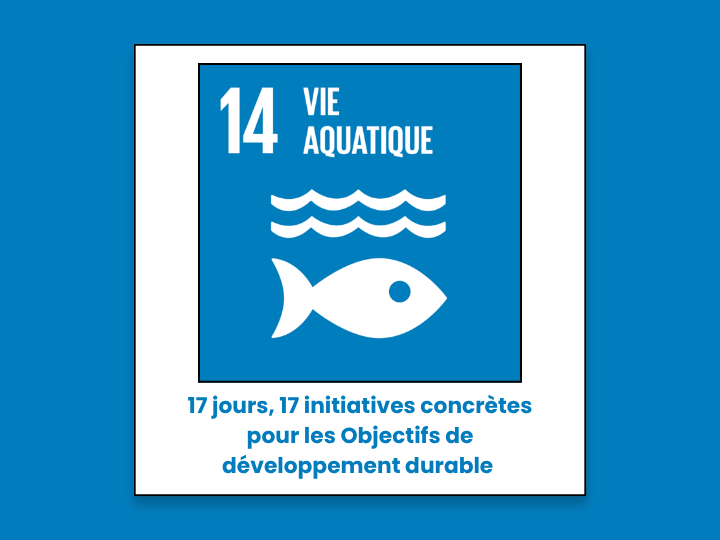 Protéger la vie aquatique au plus près du terrain : le rôle des Contrats de rivière en Wallonie