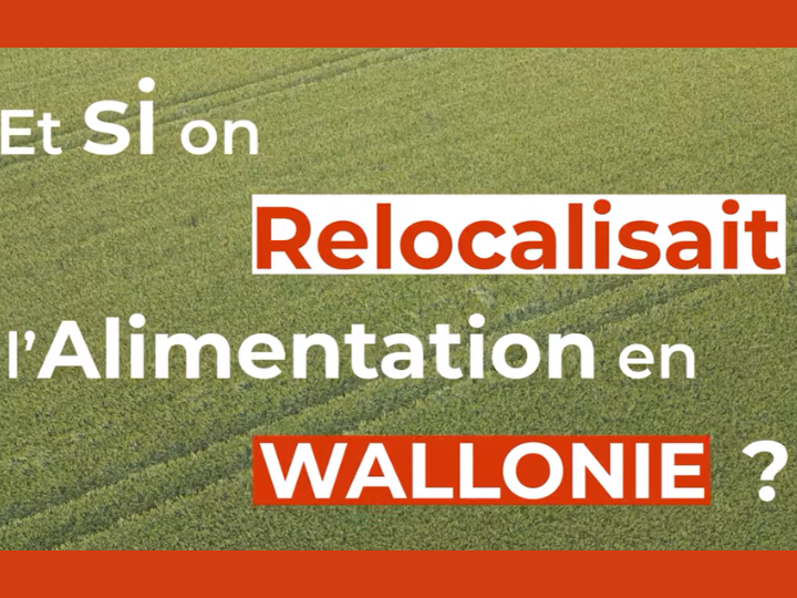 Quand le blé dur prend racine en Wallonie