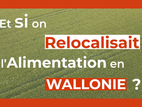 Actualité: Quand le blé dur prend racine en Wallonie