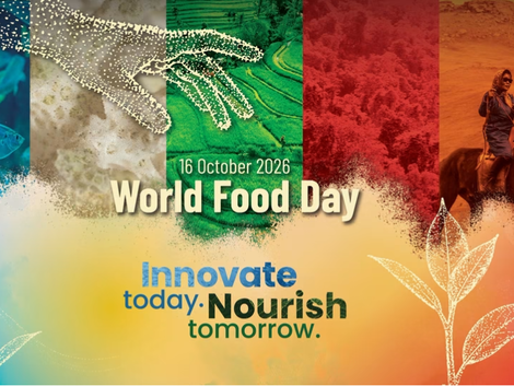 Actualité: Journée mondiale de l’alimentation : innover aujourd’hui pour nourrir demain
