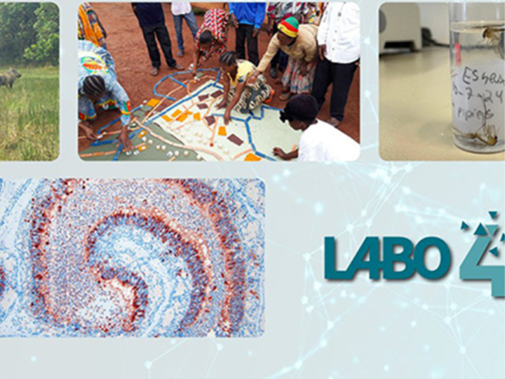 One Health : quand la santé humaine dépend aussi des animaux… et de la planète