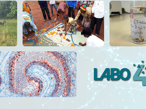 Actualité: One Health : quand la santé humaine dépend aussi des animaux… et de la planète