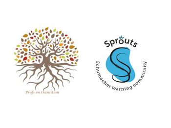 Renforcer les pratiques éducatives en DD&T et la dynamique de réseau dans l’enseignement supérieur : dispositifs pédagogiques vivants pour une Wallonie durable 