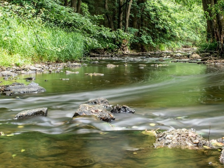 Sécheresse en Wallonie : état des lieux