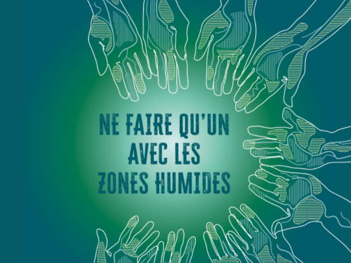 Journée mondiale des zones humides : un engagement essentiel pour la biodiversité