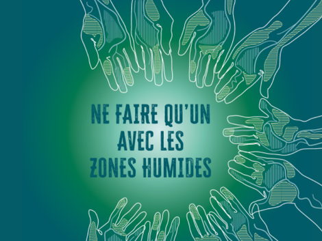 Actualité: Journée mondiale des zones humides : un engagement essentiel pour la biodiversité