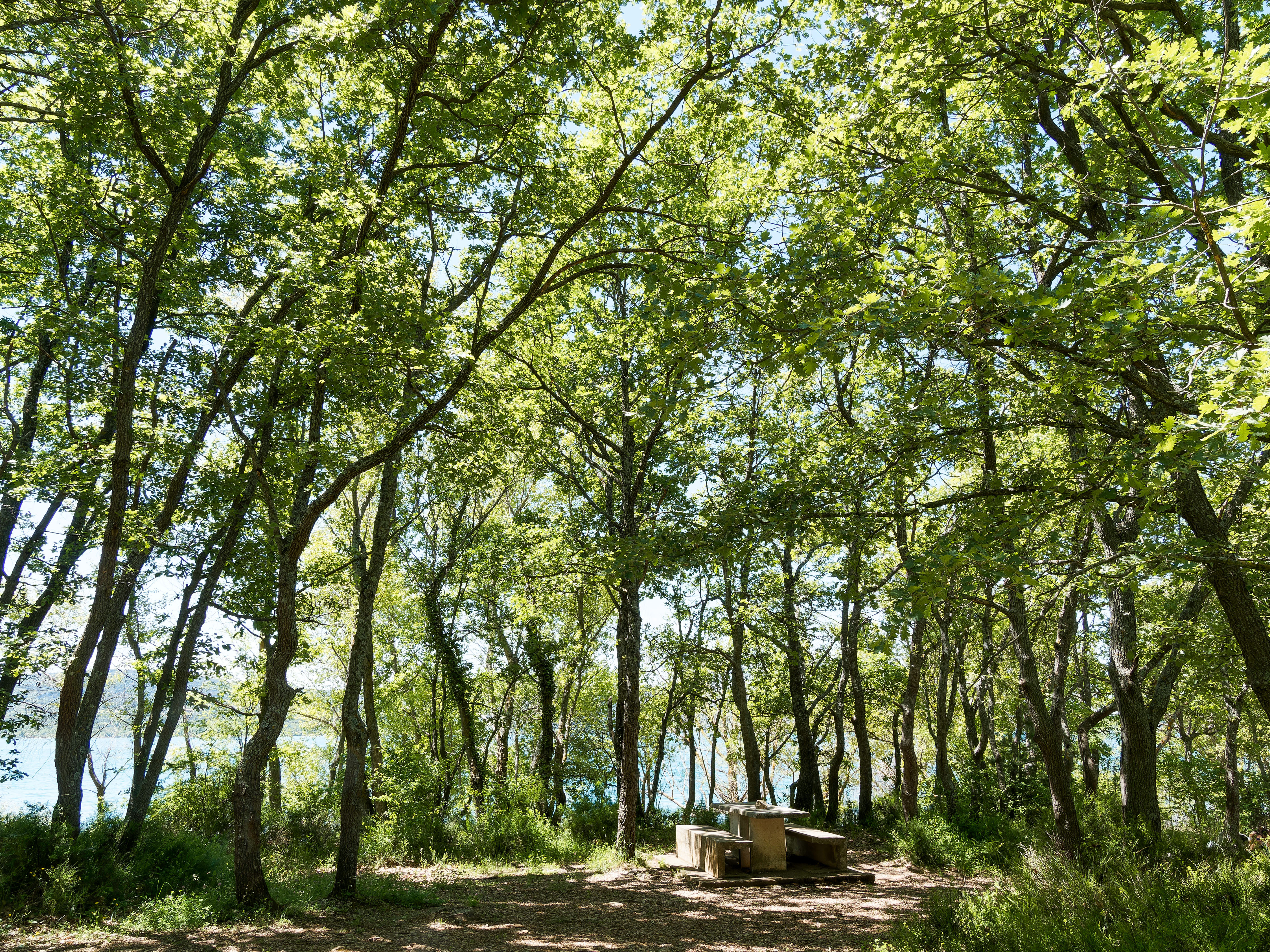 Affiche Webinaire – Mise en œuvre du Règlement sur la restauration de la nature – Quels impacts pour les pouvoirs locaux ?