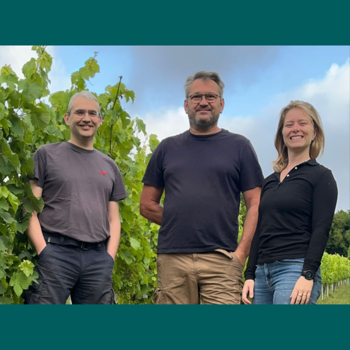 Et si la viticulture belge se structurait autour d’outils collectifs ?