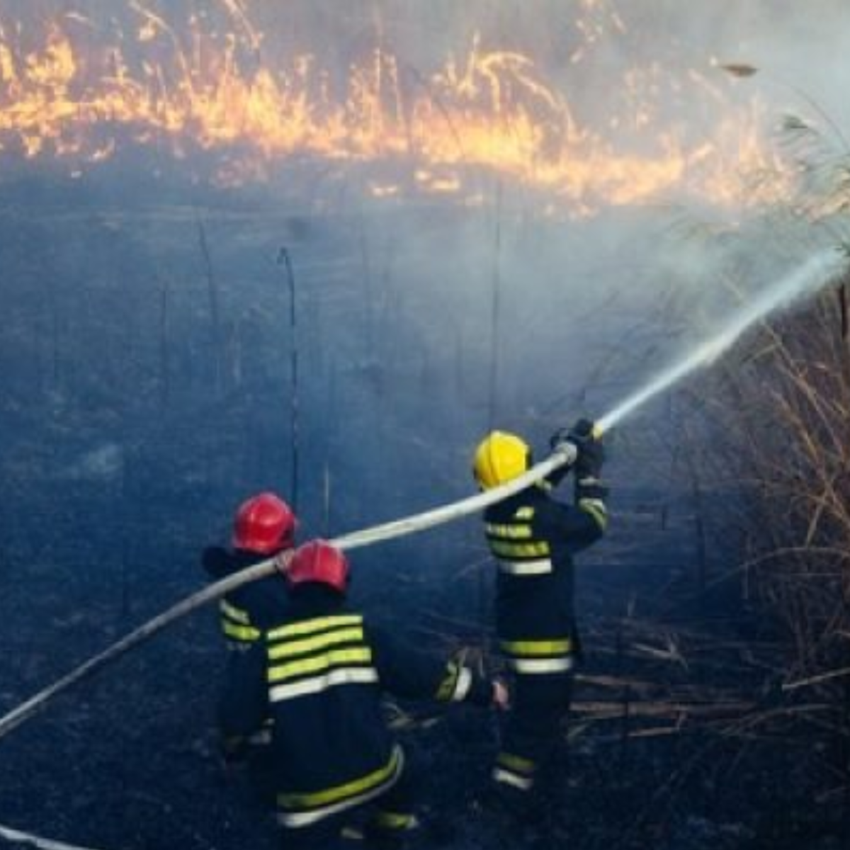 Webinaire sur le renforcement de la résilience au changement climatique