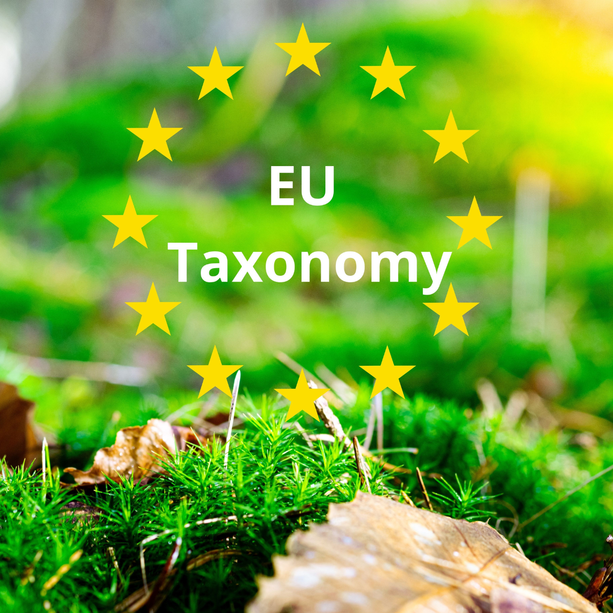Webinaire sur la taxonomie européenne : du cadre théorique à la réalité des projets