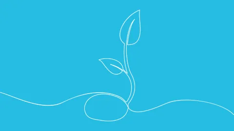 Offre de soutien _ Développement Durable _ le portail sur le principe DNSH.png.webp