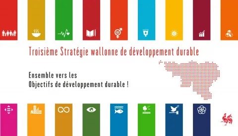 SWDD3 page de garde.jpg.webp