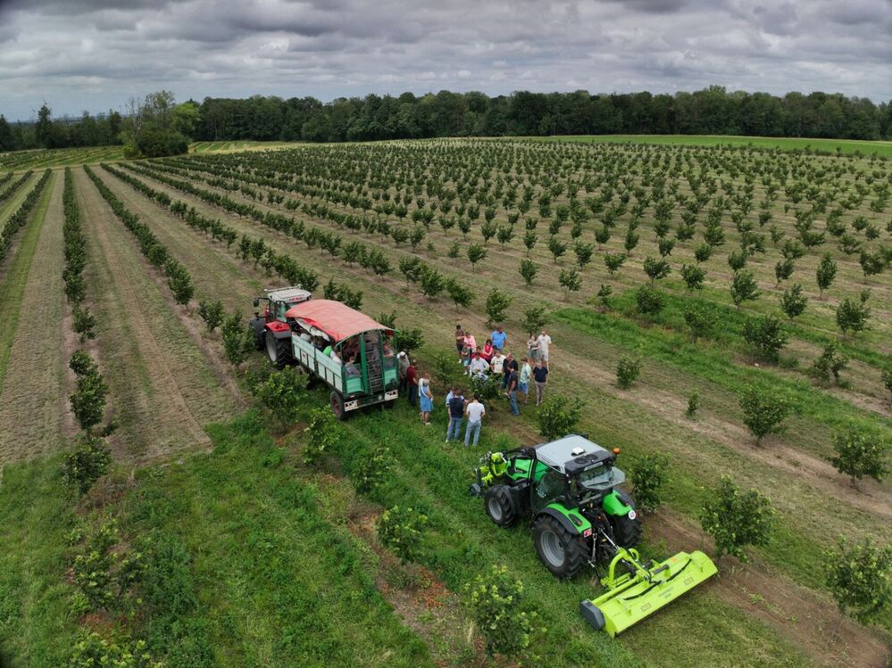 Inauguration d'un projet de relocalisation de l'alimentation en Wallonie : enfin une noisette wallonne !