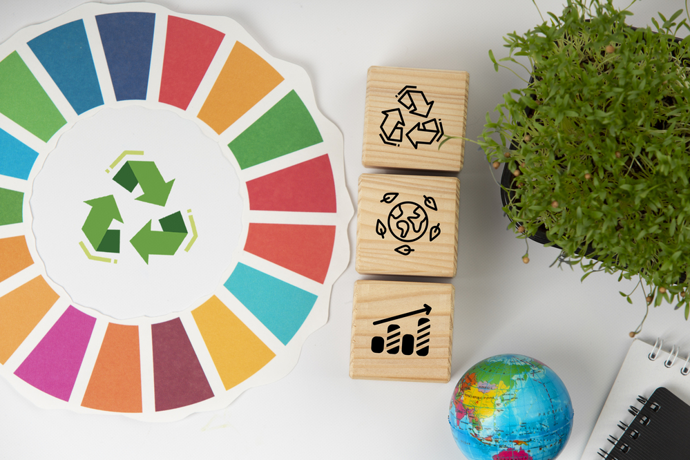 Appel aux pouvoirs locaux : candidatez au Sustainability Award 2025 !