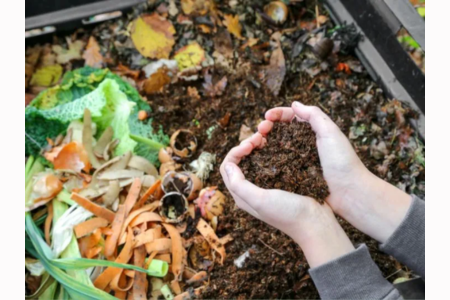 Faites-vous accompagner pour installer un compost collectif !