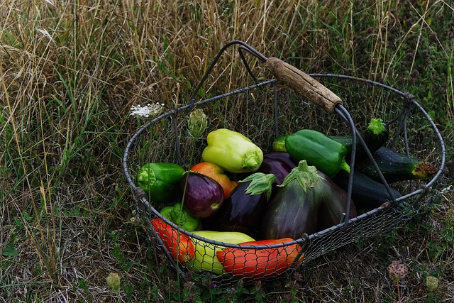 Les prix européens qui récompensent les acteurs et actrices de l’alimentation bio