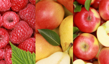 Pôle fruits et légumes