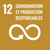 12-consommation-et-production-responsables
