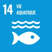 14-vie-aquatique