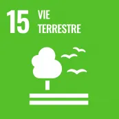 15-vie-terrestre