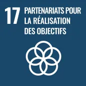 17-partenariats-pour-la-realisation-des-objectifs