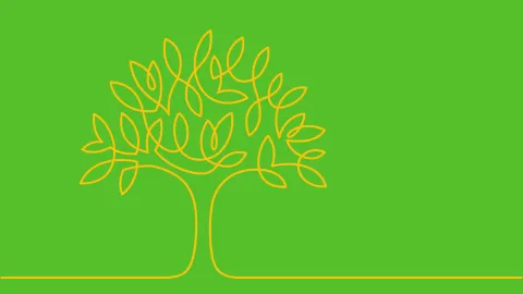 Ressources naturelles (Ressources naturelles _ Développement Durable) _ Nature & forêt.png.webp