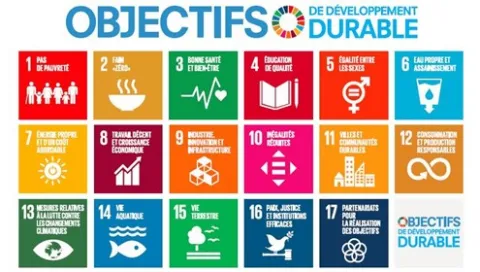 17 ODD des nations unies