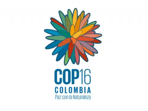 Logo COP 16