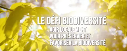 Défi biodiversité avec des feuilles en arrière plan