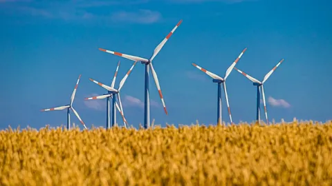 éoliennes dans un champ