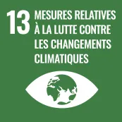 pictogramme ODD13 sur les mesures relatives à la lutte contre les changements climatiques