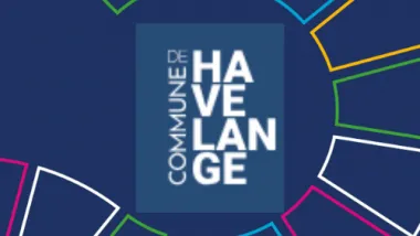 Logo Havelange