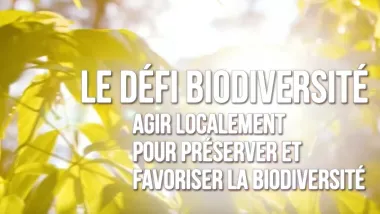 Défi biodiversité avec des feuilles en arrière plan