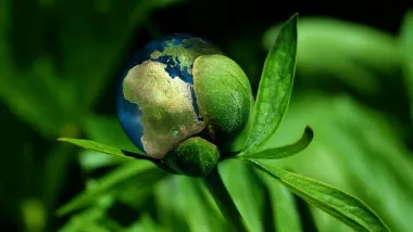 tige avec une Terre en guise de fleur